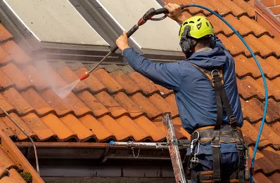Démoussage et hydrofuge de toiture à Lapleau